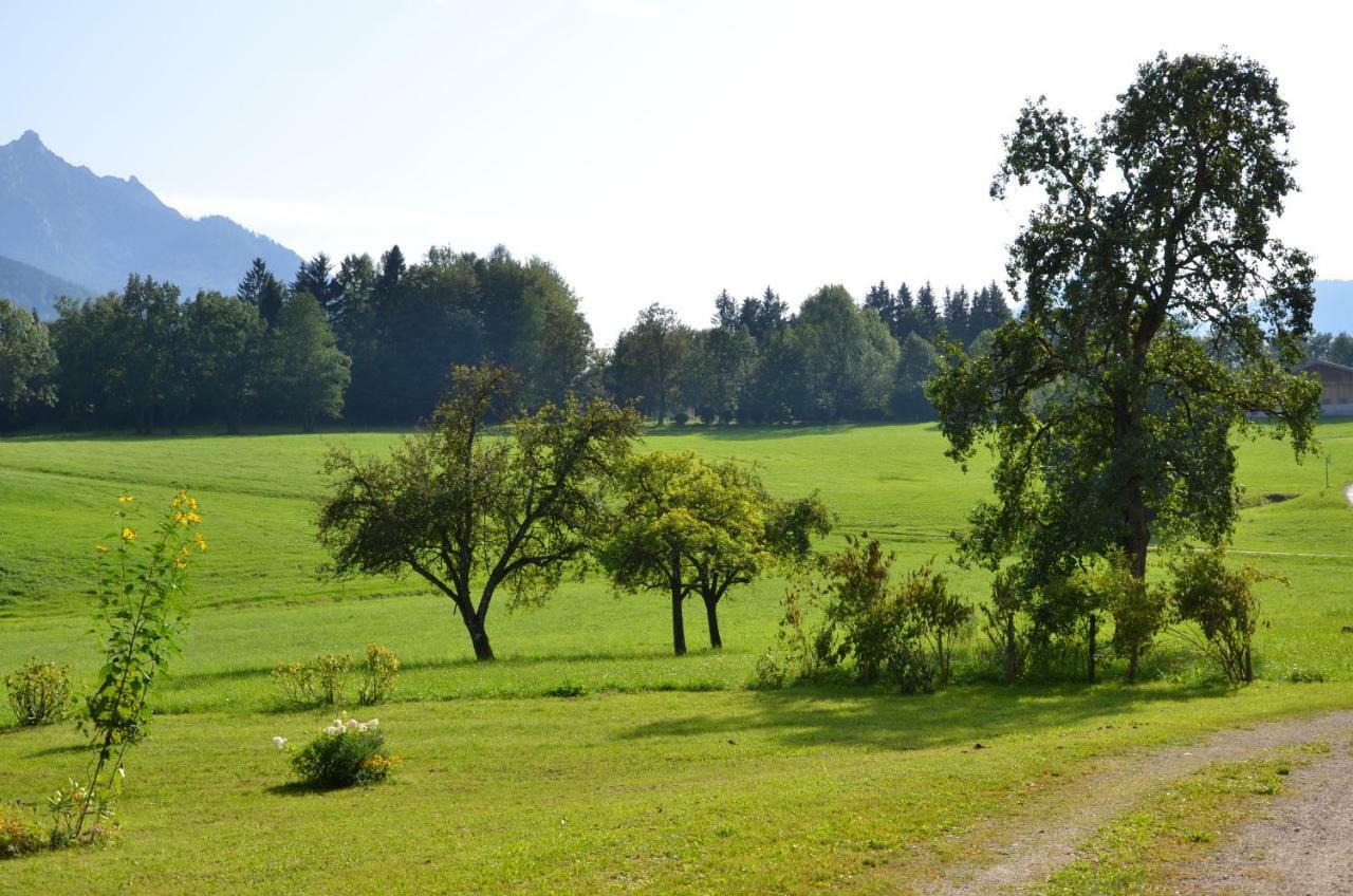 Naturresort Fischergut - Lodge Wolfgangthal Saint Wolfgang エクステリア 写真